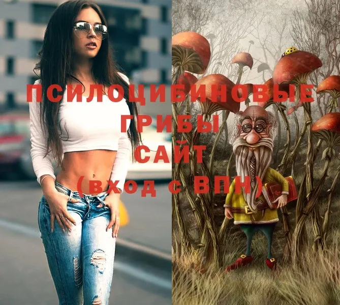 Псилоцибиновые грибы Psilocybe  Волгоград 